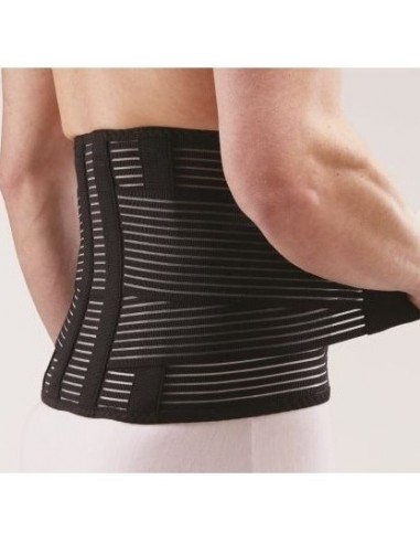 Ceinture dorsale prix hotsell